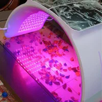 دستگاههای فیشیال و پاکسازی|آرایشگاه و سالنهای زیبایی|صدرا-فارس, فاز ۱|دیوار