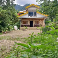 ( اجاره ویلا جنگلی بهشت با دسترسی آسان )