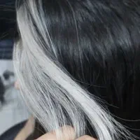 رنگ و لایت به صورت چکی ونقد|خدمات آرایشگری و زیبایی|نجف‌آباد, فردوسی|دیوار