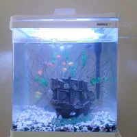 آکواریوم ماهیران شرکنی نو با تمام تجهیزات مدلMC400