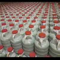 فروش خیارشور