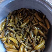 خیارشورهمدان تردو خوشمزه.لوکس