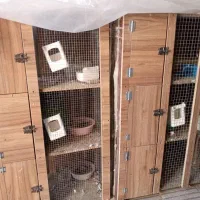قفس کبوتر خاص برا جفتگاه