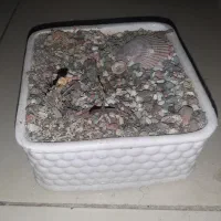 گلدان سرامیکی