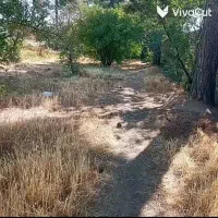 اجاره ی سوله در قزانچی ۵۰۰ متری