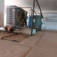 سردخانه|فروشگاه و مغازه|کرمان, |دیوار