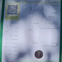 پژو ۲۰۶ تیپ ۲ مدل۱۳۹۹|خودرو سواری و وانت|تهران, ولنجک|دیوار