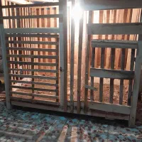 قفس خروس تازه ساخت