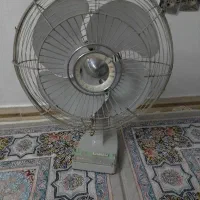 پنکه امریکایی
