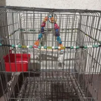 قفس مخصوص عنوان پرندگان بزرگ و کوچک