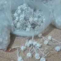 فروش ۱۴۰۰ عدد سوکت لامپ هالوژنی