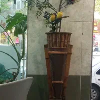 وسایل تزیینی