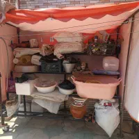 استند میوه مخصوص حراجی|فروشگاه و مغازه|شیراز, کوشک میدان|دیوار
