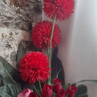 گل زیبا