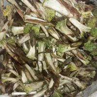 کنگر تازه|خوردنی و آشامیدنی|سرپل ذهاب, |دیوار