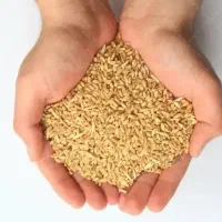 300الا350کیلو گندم فروشی