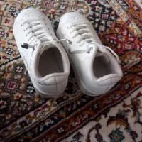 کفش دخترانه|کیف، کفش، کمربند|سلماس, |دیوار