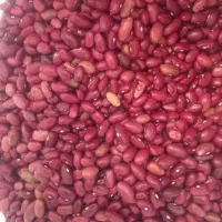 لوبیا قرمز