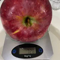 بذر یونجه