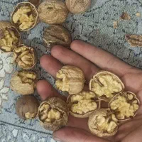 مغز سفید امسال پوست کاغذی تویسرکان|خوردنی و آشامیدنی|تهران, چیتگر جنوبی|دیوار