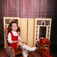 تعدادی دکور عکاسی یلدا و کریسمس|دوربین عکاسی و فیلم‌برداری|تهران, شهمیرزادی|دیوار