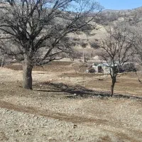 سوله-اجاره-ای