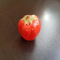 نمک پاش و ادویه پاش سرامیکی|ظروف سرو و پذیرایی|تهران, زنجان جنوبی|دیوار