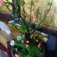 گل های تزیینی