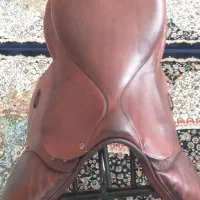 تجهیزات سوارکاری|اسب و تجهیزات اسبسواری|تهران, فتح|دیوار