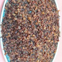 کشمش آفتابی|خوردنی و آشامیدنی|قزوین, |دیوار