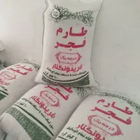 برنج طارم فجر مجلسی فریدونکنار