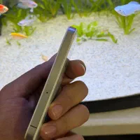 آیفون ۴ کلکسیونی|موبایل|مریوان, |دیوار