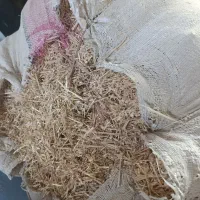 کاه|لوازم جانبی حیوانات|جره و بالاده, |دیوار