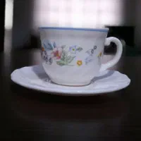 فنجان نعلبکی ویکتوریا فرانسه