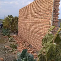 بنا و بنای و دیوارکشی باغات وتخریب|خدمات پیشه و مهارت|ارومیه, |دیوار