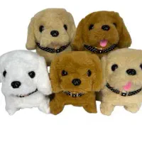 سگ حرکتی واق واقی