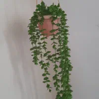 گل مصنوعی و تزئینی