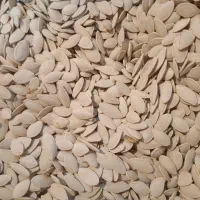 آجیل به قیمت عمده