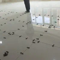 تخریب و تعمیرسرویس بهداشتی،کاشی کاری وکاشیکار بنا