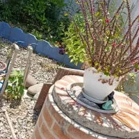 ویلا فلت ۱۲۰ متری|اجارهٔ خانه و ویلا|محمودآباد, |دیوار