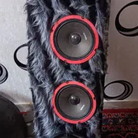 سیستم - پنو ـ اگزوز خارجی