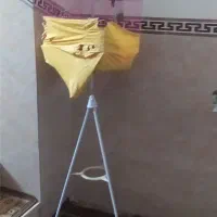 طوطی برزیلی|پرنده|قرچک, میرزائی شمالی|دیوار