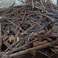 خریدار انواع چوب