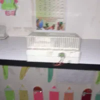 ترانس۷۳۰سیماراند حدنو|مودم و تجهیزات شبکه|ملایر, |دیوار