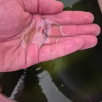 ماهی فایتر اماده سایز کردن