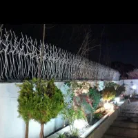 تولید شاخ گوزنی