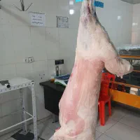 قصابی برادران کرمی نمره ۲|خوردنی و آشامیدنی|مسجد سلیمان, |دیوار