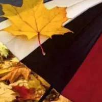 ای مهربان تراز برگ دربوسه های باران|فعالیت داوطلبانه|بندر کنگان, |دیوار