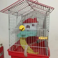 قفس