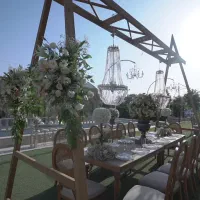 تشریفات صالحی با بیست سال سابقه